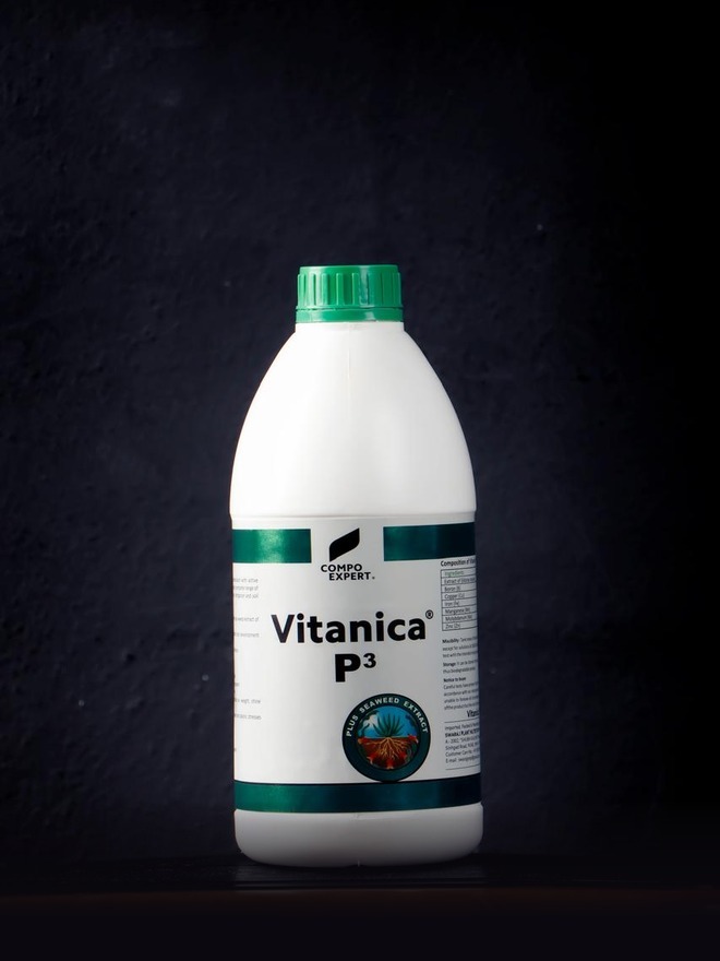 Vitanica P3 pack